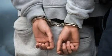 Задържани са 7 души след „София прайд”