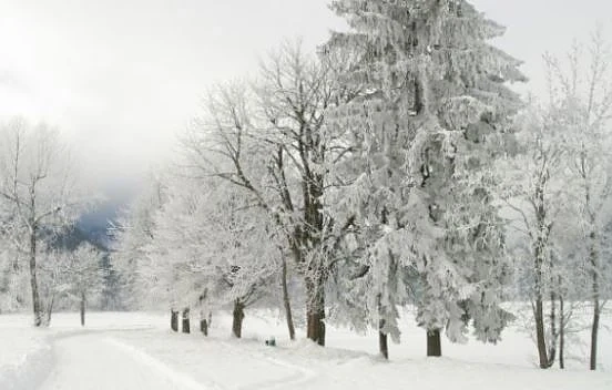 Днес снежно с максимални температури между 0° и 8°