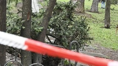 Глобиха семейство, разхождали кучетата си в Морската градина