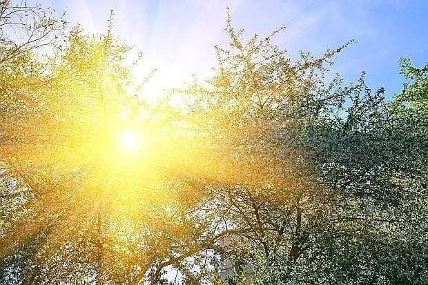 Слънчево време днес