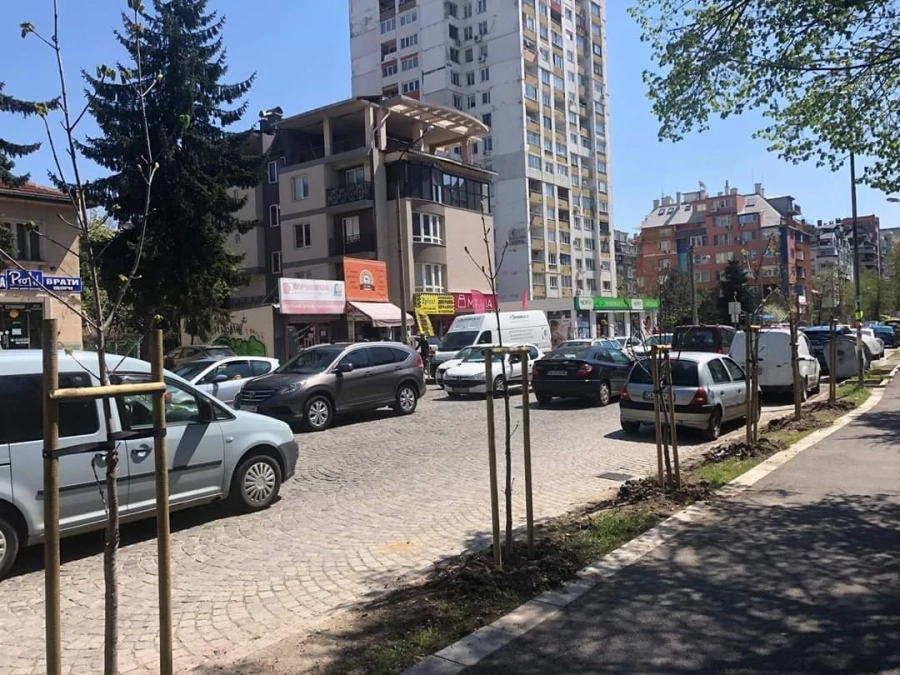Засадиха дръвчета в район Красно село след искане на гражданите
