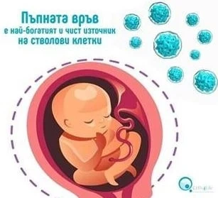 Майките да съхраняват стволови клетки при раждането