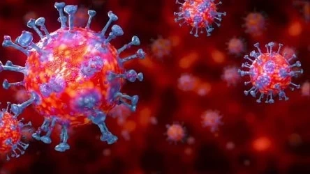 Ексхумират починалия с COVID-19 абитуриент във Велико Търново