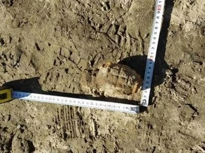 Военни унищожиха ръчна граната