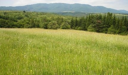 Европейската Агенция по Околна Среда прие българското докладване за местообитанията