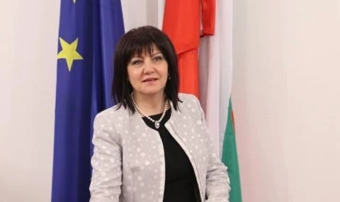 Цвета Караянчева: Резолюцията няма никаква стойност