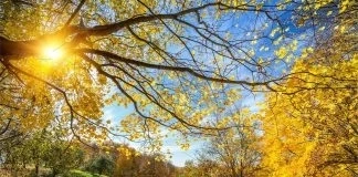 Днес слънчево с максимални температури между 21° и 26°