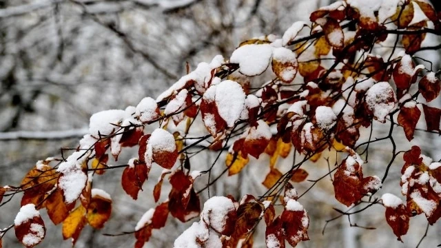 Днес на места слънчево.Максималните температури ще са между 0° и 5°
