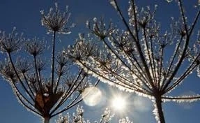 Слънчево и студено днес