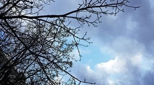 Днес облачно с максимални температури между 8° и 13°