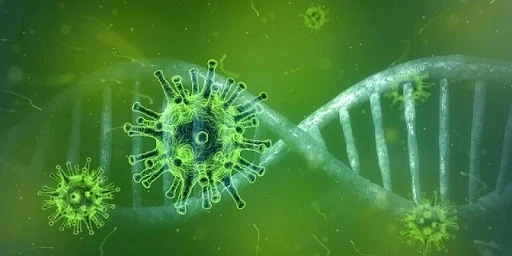 Антигенните тестове ще влизат в статистиката за разпространението на COVID-19