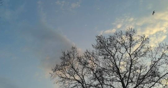 Днес облачността ще намалее. Максималните температури ще са между 6° и 14°