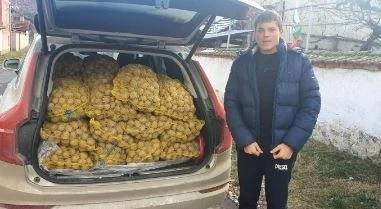 Фирми изкупуват картофи и ги даряват