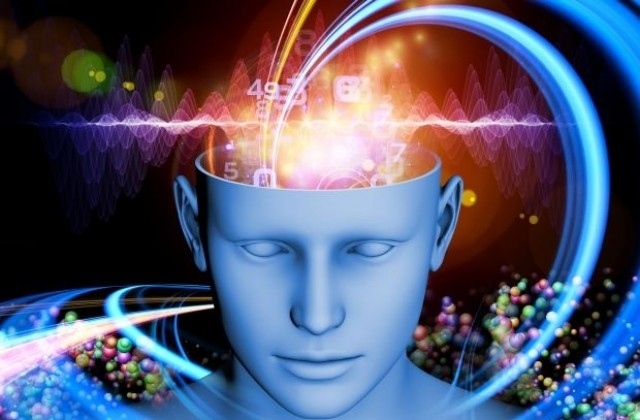 Учени изследват как се формират спомените