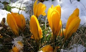 Днес ще започнат валежи. Максималните температури ще са между 6° и 11°