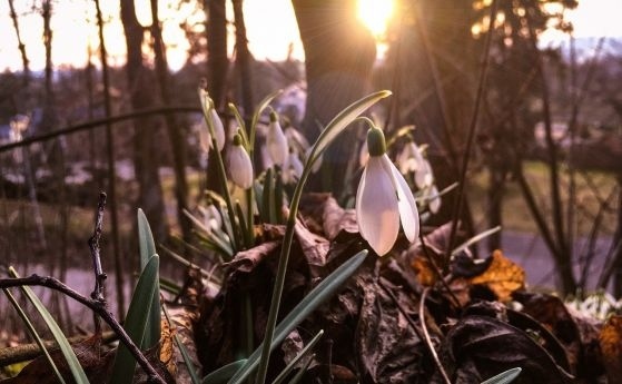 Настъпва астрономическата пролет