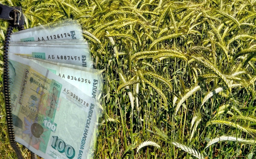 Парите на земеделците в банките набъбнаха със 145 млн. лв.