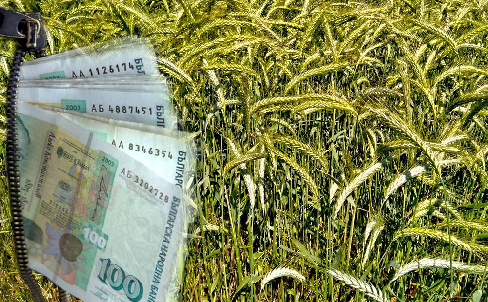 Парите в банките на стопани физически лица и компании в