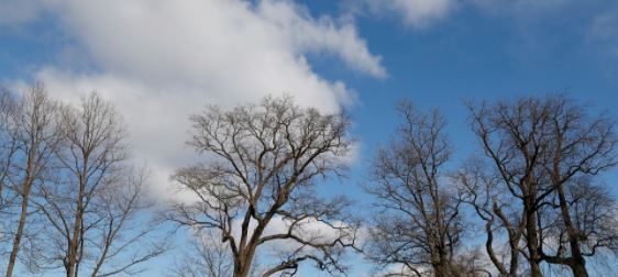 Атмосферното налягане е по високо от средното за месеца и през