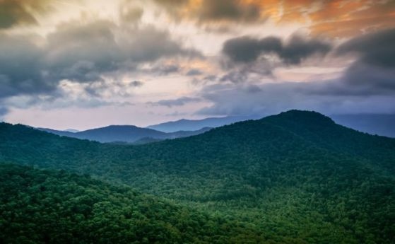 Председателят на Партия на зелените Владимир Николов коментира че малцина