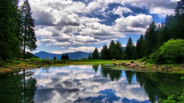 Предизборна хроника
Скъпи приятели загрижени за невероятната българска природа В навечерието на