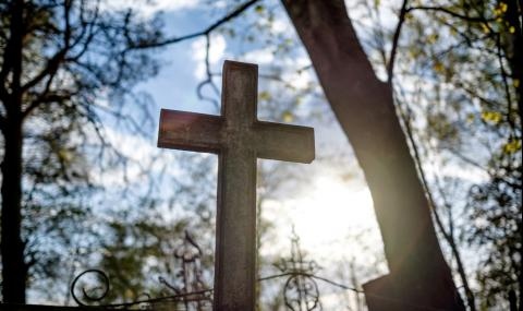 Най големият град в Бразилия Сао Пауло от вчера увеличава усилията