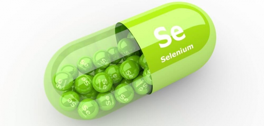 Селенът пази от затлъстяване и може да удължи живота