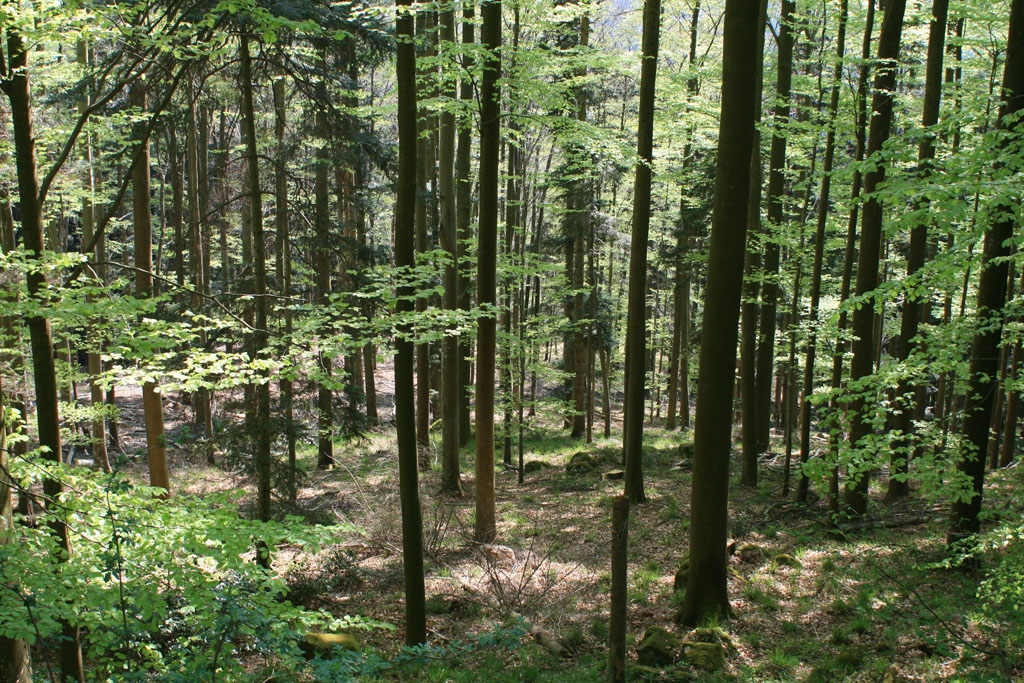 Автономно министерство по горите поискаха синдикатите в бранша В седмицата