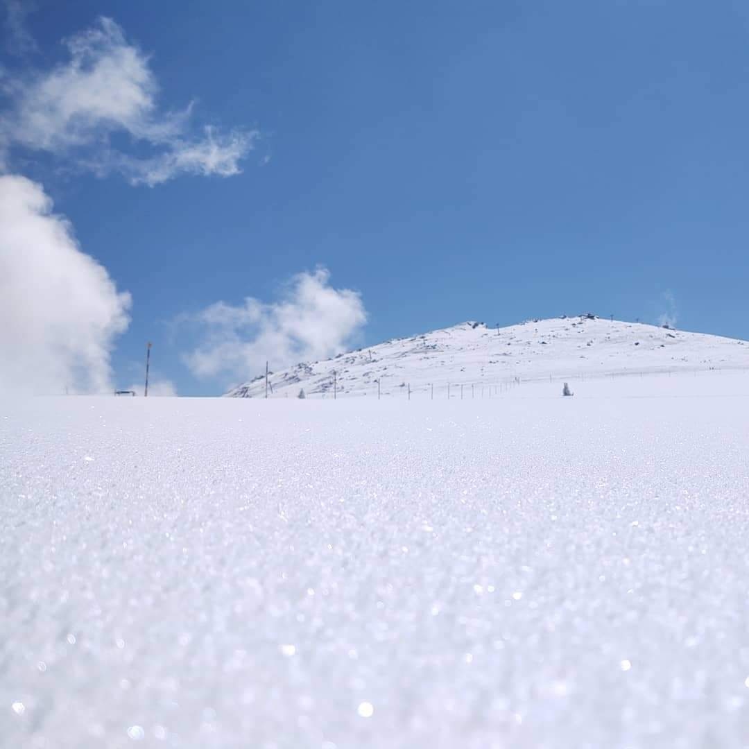 Тази година зимата се задържа за дълго за радост на