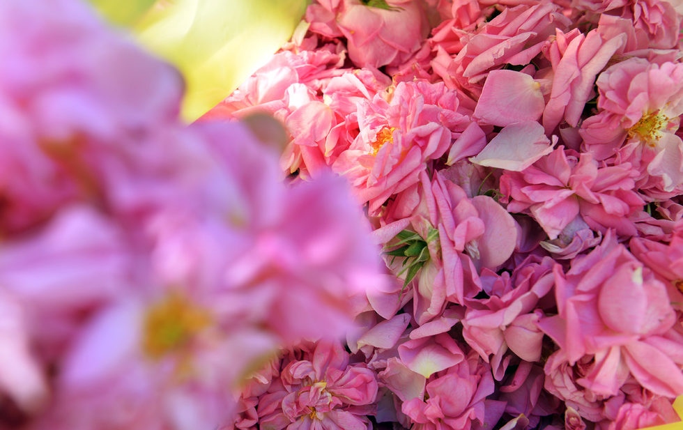 3 млн лева за компенсиране на част от разходите за