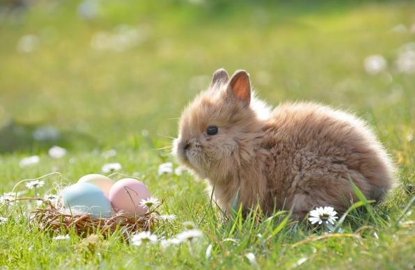 Хладна и дъждовна пролет прогнозира синоптика Анастасия Стойчева в предаването