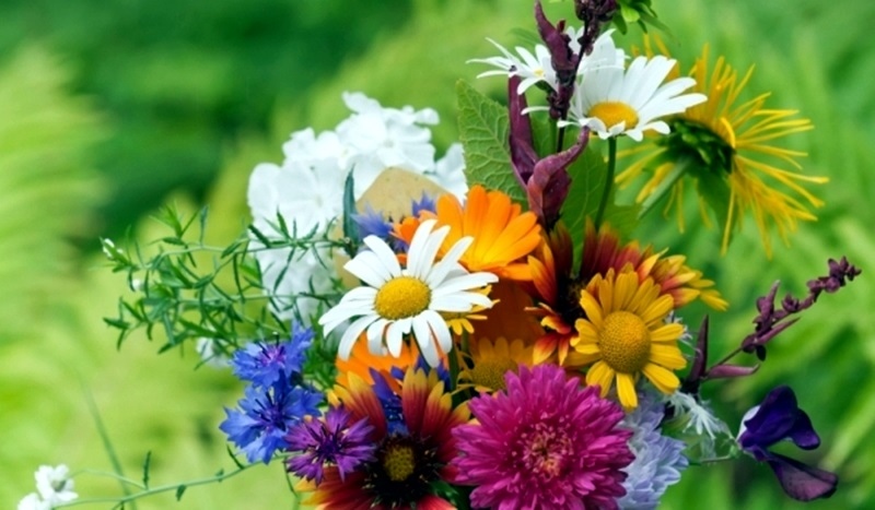 Цветница е един от големите християнски празници, който се отбелязва,