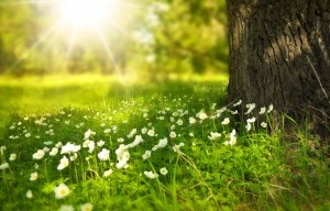 Атмосферното налягане е близко до средното за месеца и ще