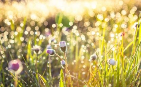 Днес с умерен и силен вятър от северозапад ще нахлува