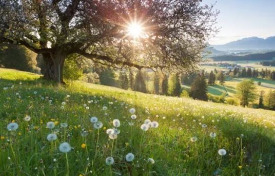 Днес ще бъде предимно слънчево Ще духа слаб до умерен