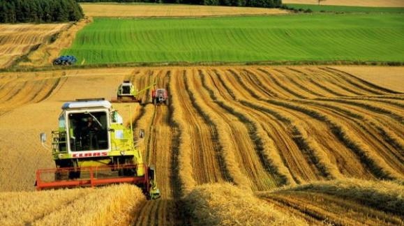 Ключови играчи в скандалите в парламентарната комисия по ревизии последните