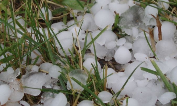 Изпълнителният директор на ЗК Лев Инс АД Павел Димитров съобщи