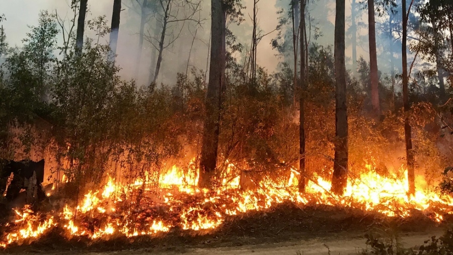Силен горски пожар в Гърция доведе до евакуация на села и манастири