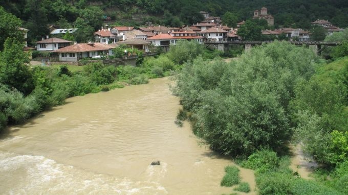 Изхвърлените свине в коритото на река Янтра край търновското село