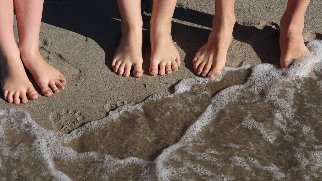 Педагогическият съвет във всяко училище ще определя критериите за подбор