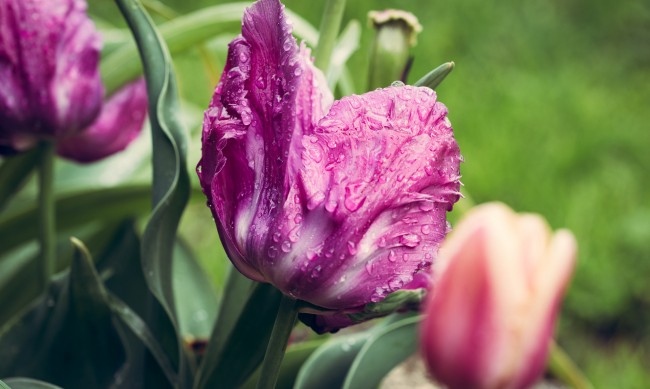 Днес дневните температури ще са между 23 deg и 28 deg предаде