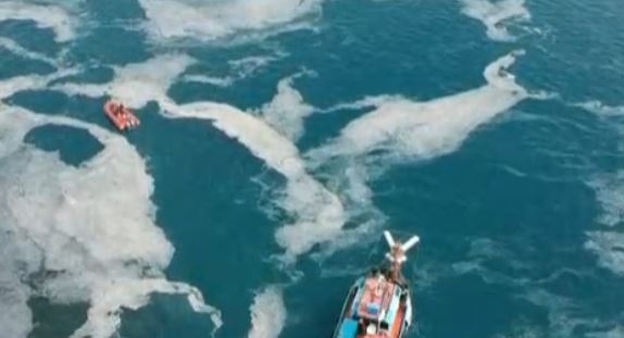 В Мраморно море започна мащабна операция за почистване на водите