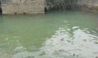 12 годишно дете се е удавило в изкоп пълен с вода
