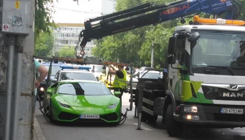 На уникална гледка станаха свидетели жители на София Паяк вдигна