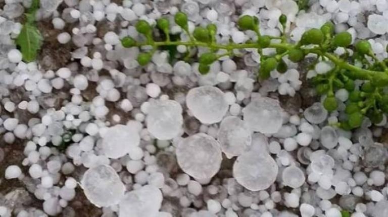 Проливни валежи и силни гръмотевични бури ще има в много