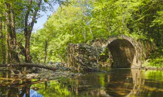 Предизборна хроника Партия на зелените призова хората да гласуват за чиста