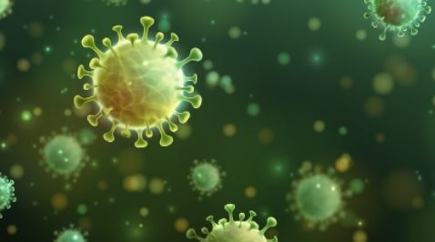 43 случая на Делта вариант на COVID 19 известен като