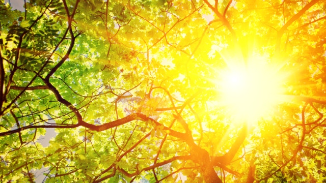 Слънчево и много горещо ще е днес отново има