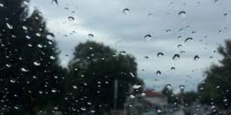 Днес облачно с валежи