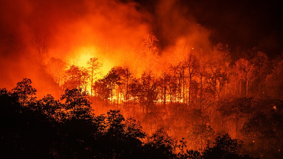 Разразилият се в петък в късния следобед нов пожар в